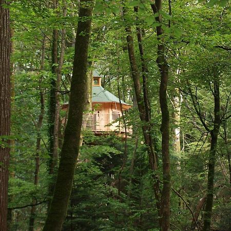 Les cabanes de Kermenguy Cléder Habitación foto